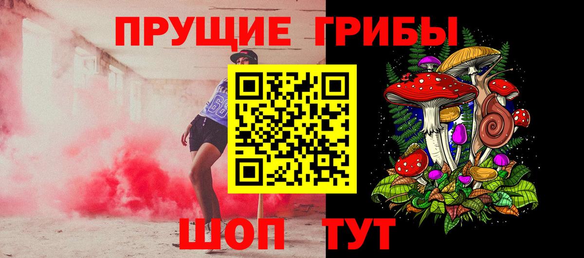 Псилоцибиновые грибы мицелий Новокубанск