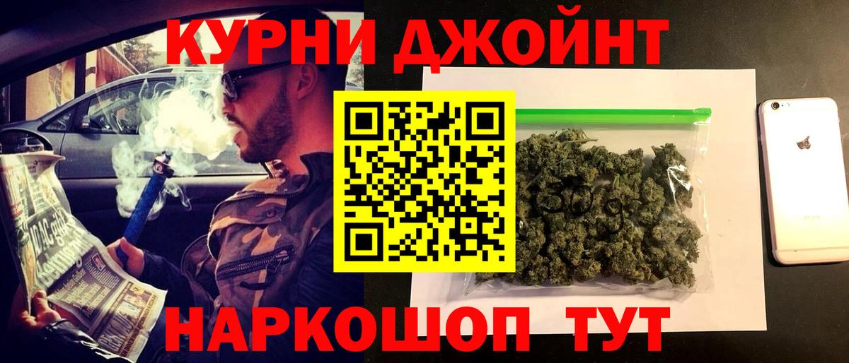 Марихуана гибрид Новокубанск